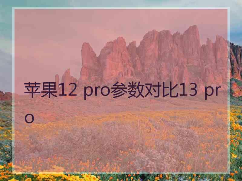 苹果12 pro参数对比13 pro