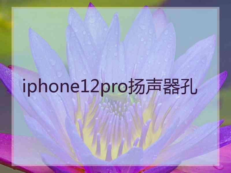 iphone12pro扬声器孔