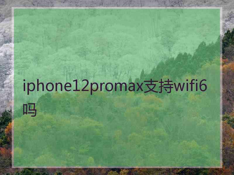 iphone12promax支持wifi6吗