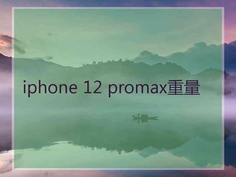 iphone 12 promax重量