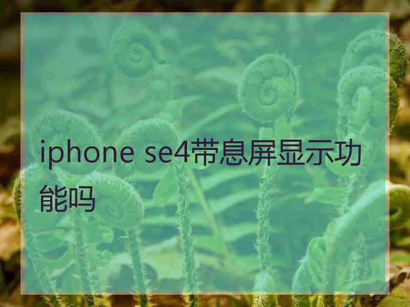 iphone se4带息屏显示功能吗