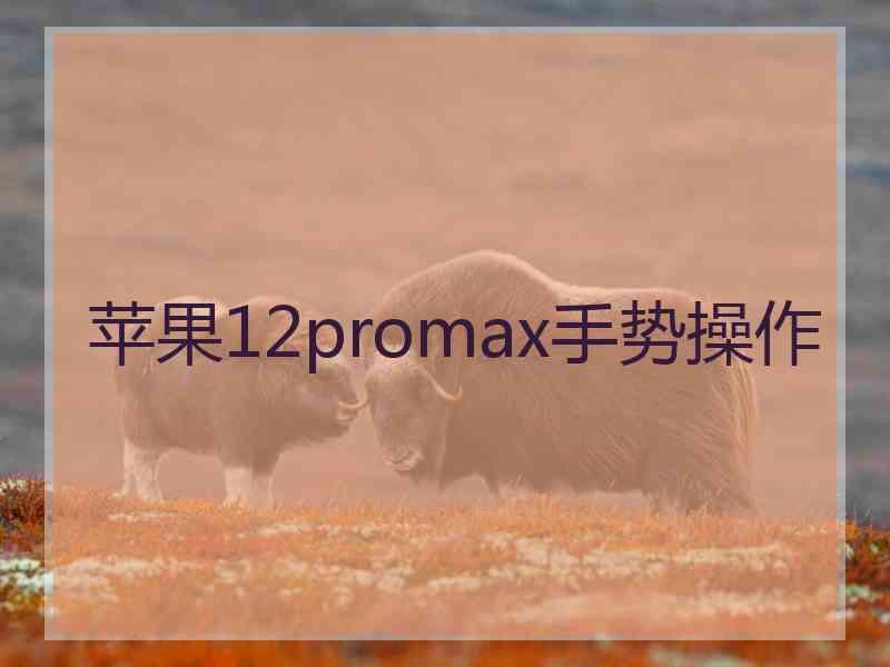 苹果12promax手势操作