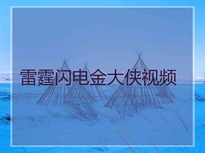 雷霆闪电金大侠视频