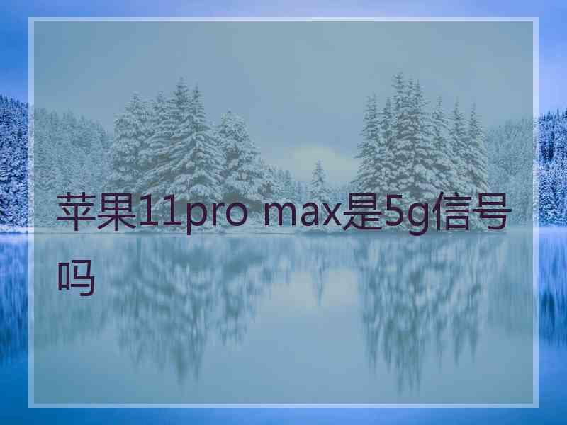 苹果11pro max是5g信号吗