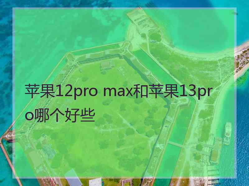 苹果12pro max和苹果13pro哪个好些