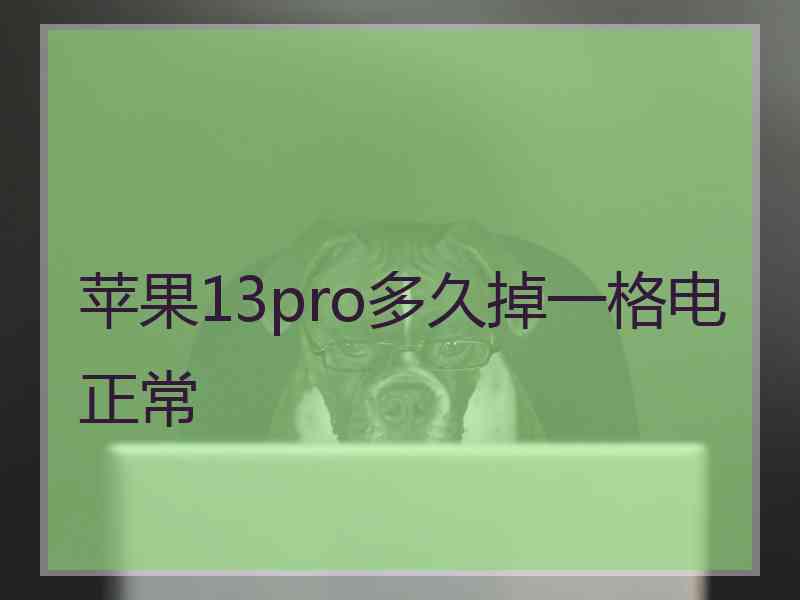 苹果13pro多久掉一格电正常