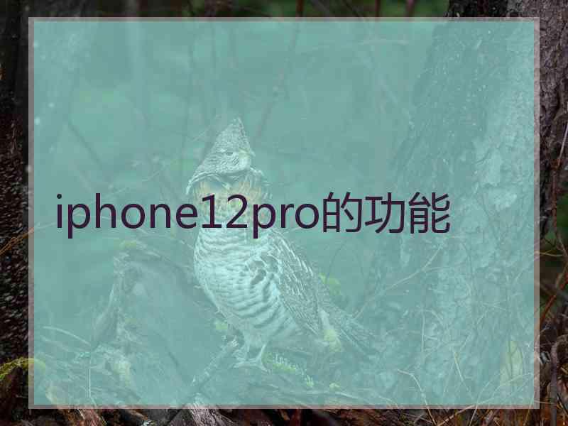 iphone12pro的功能