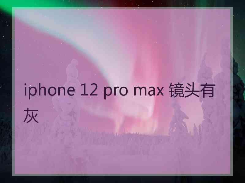 iphone 12 pro max 镜头有灰