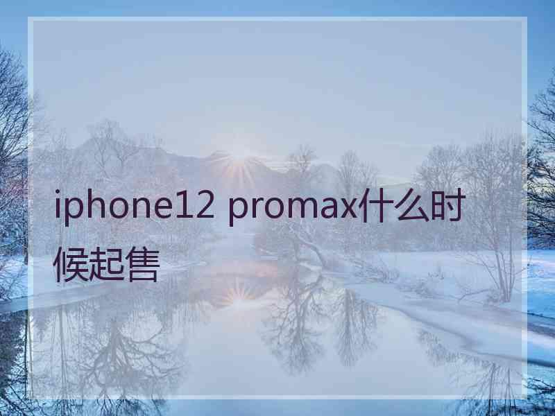 iphone12 promax什么时候起售