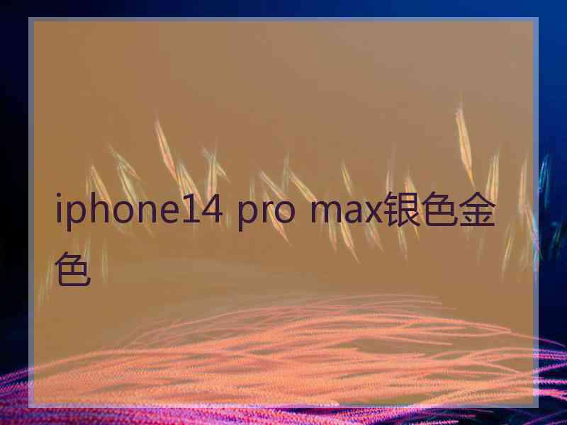 iphone14 pro max银色金色