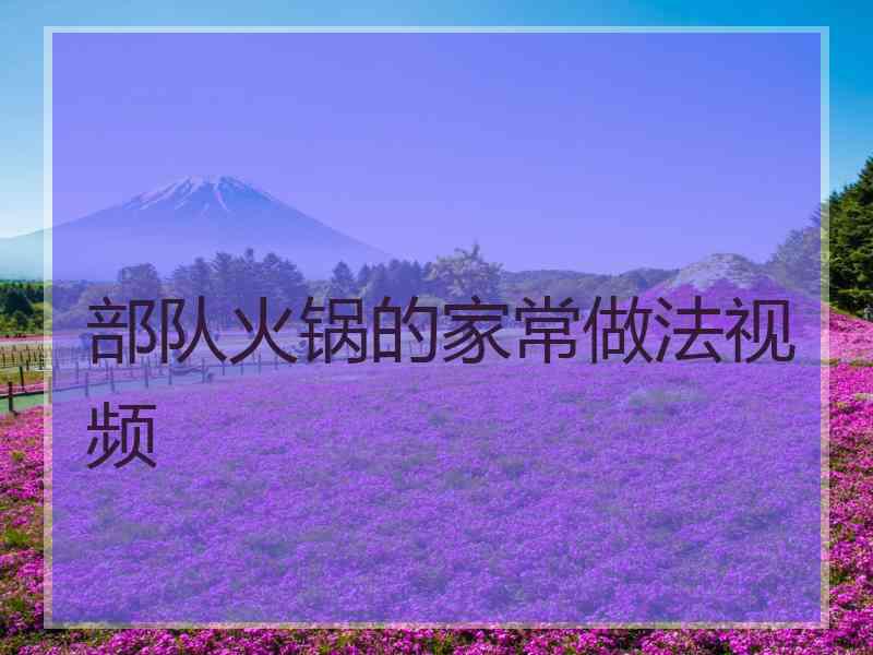 部队火锅的家常做法视频