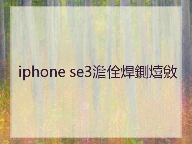 iphone se3澹佺焊鍘熺敓