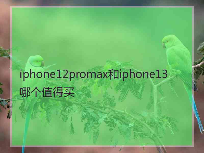 iphone12promax和iphone13哪个值得买