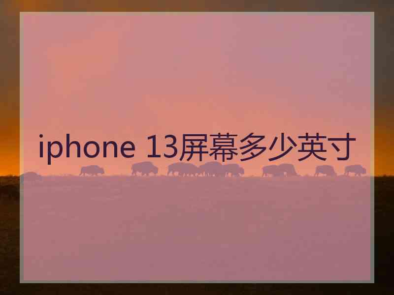 iphone 13屏幕多少英寸