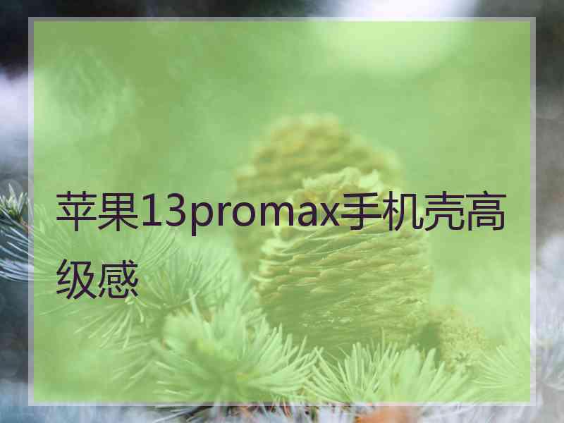 苹果13promax手机壳高级感