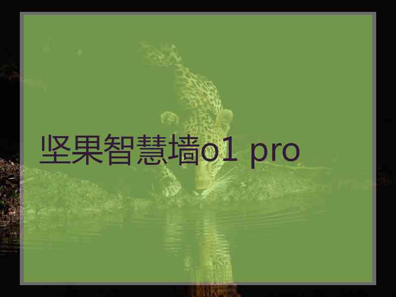 坚果智慧墙o1 pro