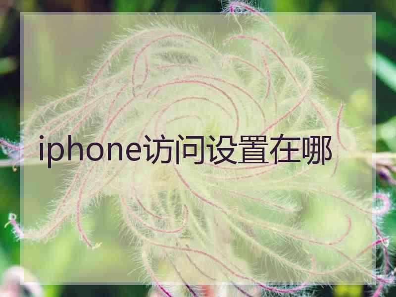 iphone访问设置在哪