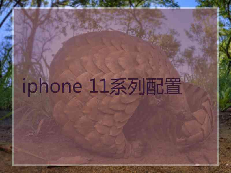 iphone 11系列配置