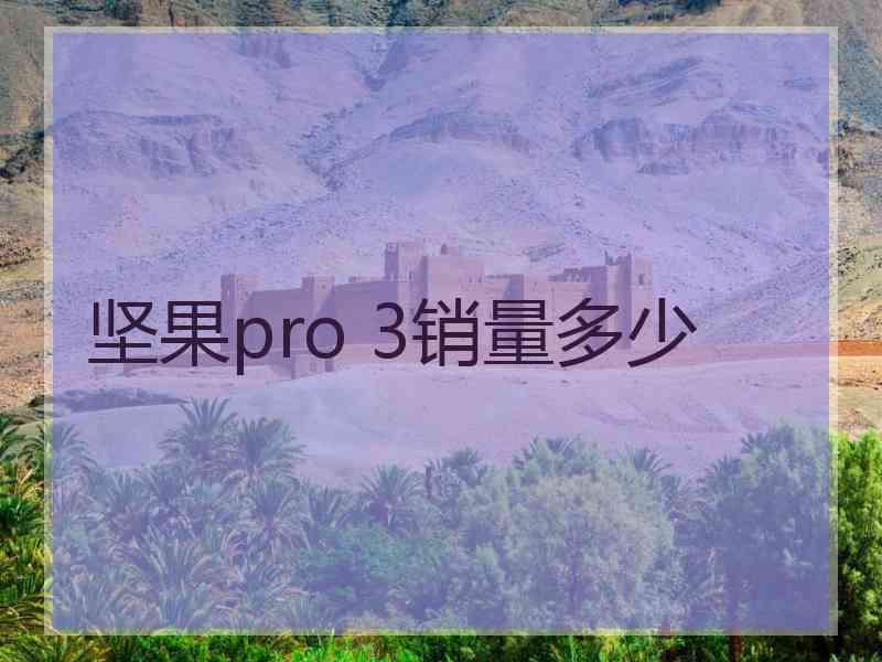 坚果pro 3销量多少