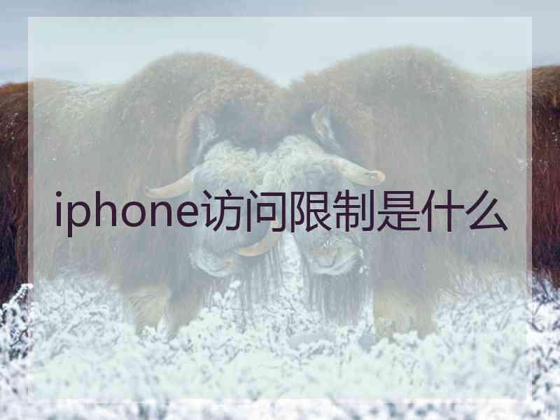 iphone访问限制是什么