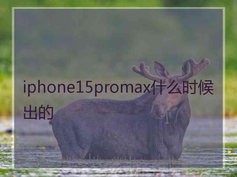 iphone15promax什么时候出的