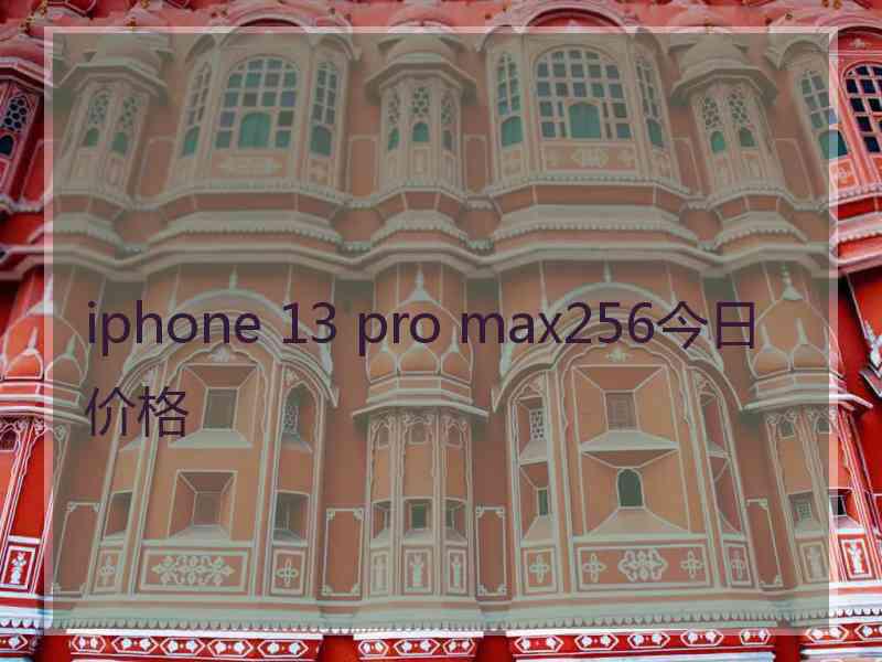 iphone 13 pro max256今日价格