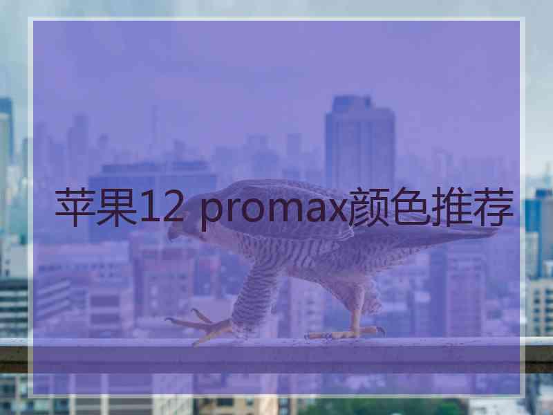 苹果12 promax颜色推荐