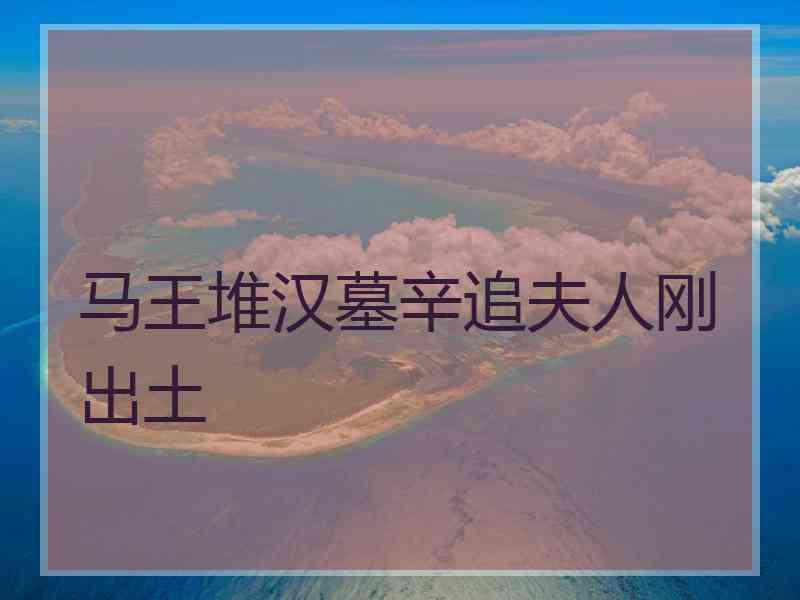 马王堆汉墓辛追夫人刚出土