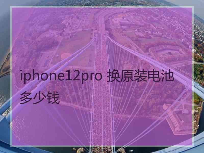 iphone12pro 换原装电池多少钱