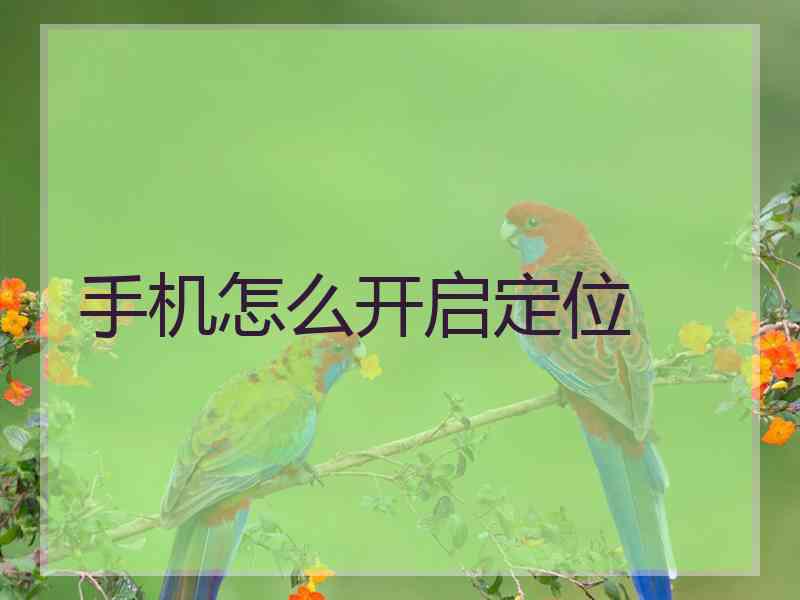 手机怎么开启定位