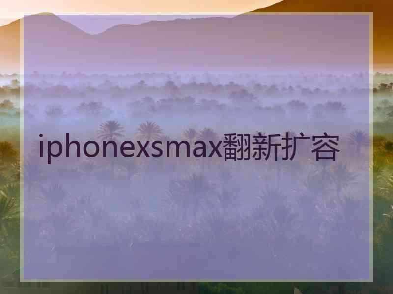 iphonexsmax翻新扩容