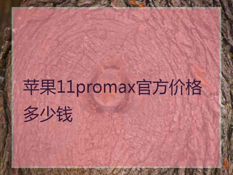 苹果11promax官方价格多少钱