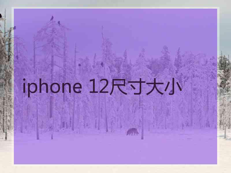 iphone 12尺寸大小