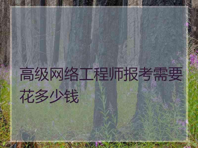 高级网络工程师报考需要花多少钱