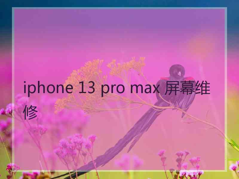 iphone 13 pro max 屏幕维修