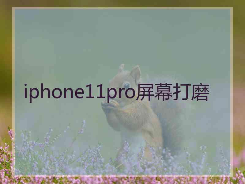 iphone11pro屏幕打磨