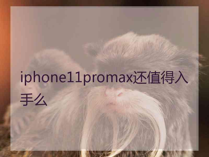 iphone11promax还值得入手么