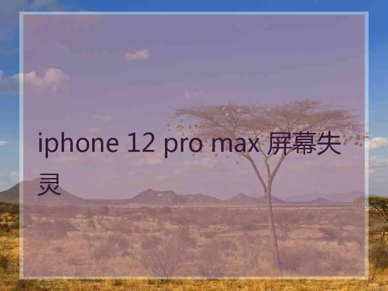 iphone 12 pro max 屏幕失灵