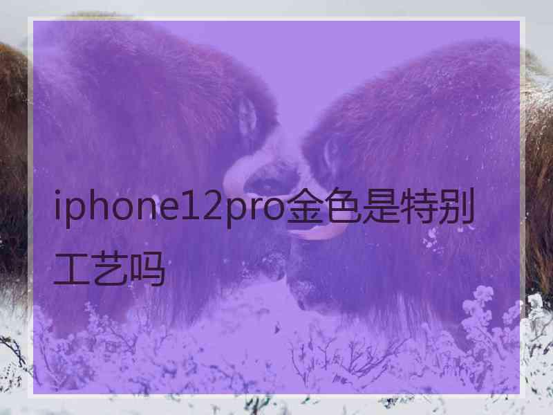 iphone12pro金色是特别工艺吗