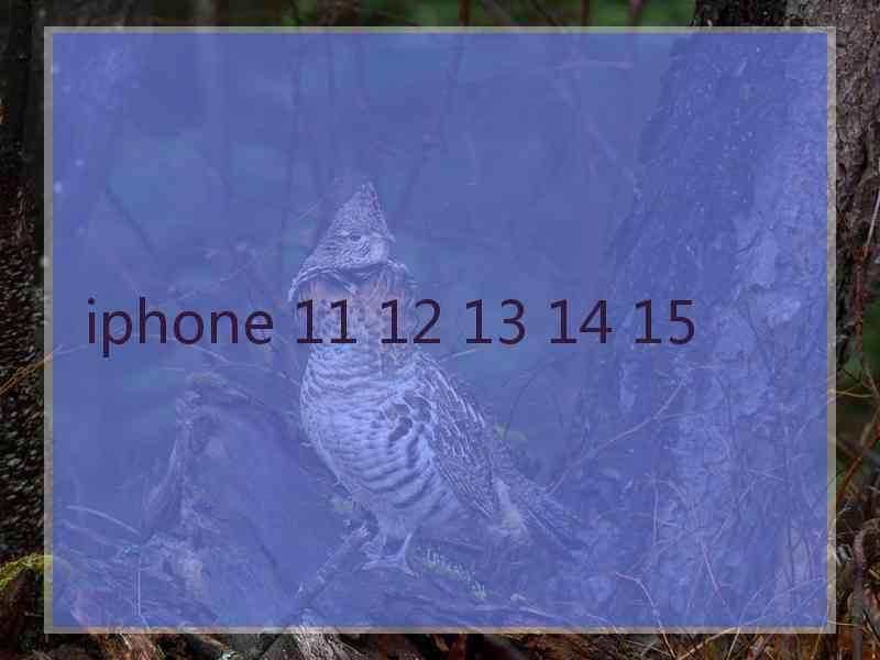 iphone 11 12 13 14 15