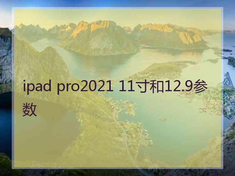 ipad pro2021 11寸和12.9参数