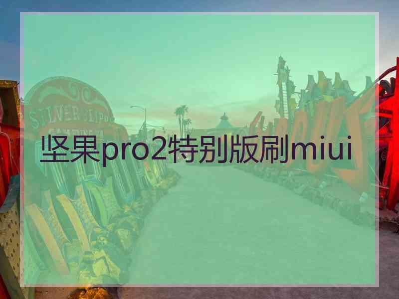 坚果pro2特别版刷miui