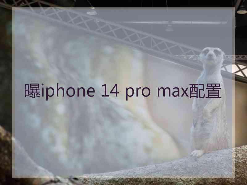 曝iphone 14 pro max配置