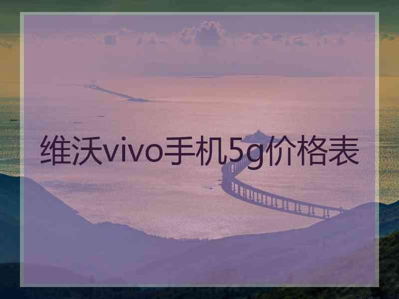 维沃vivo手机5g价格表