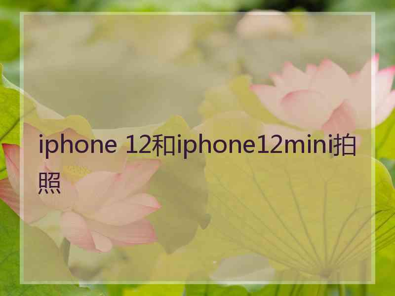 iphone 12和iphone12mini拍照