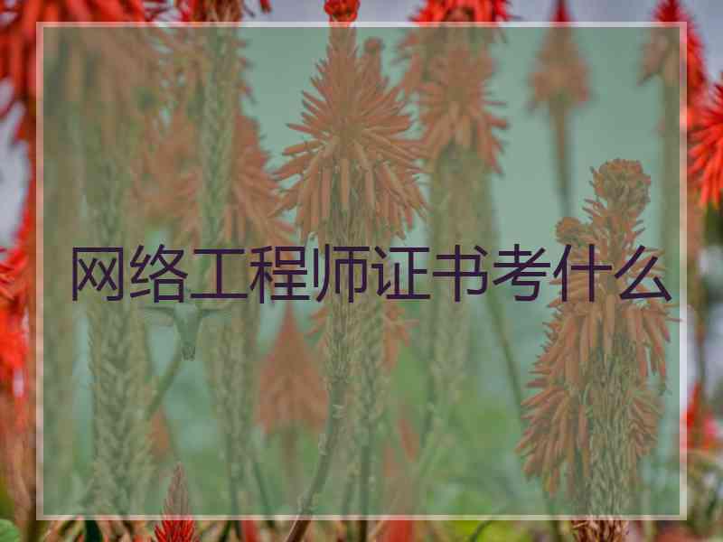 网络工程师证书考什么