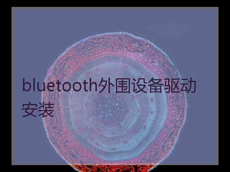 bluetooth外围设备驱动安装