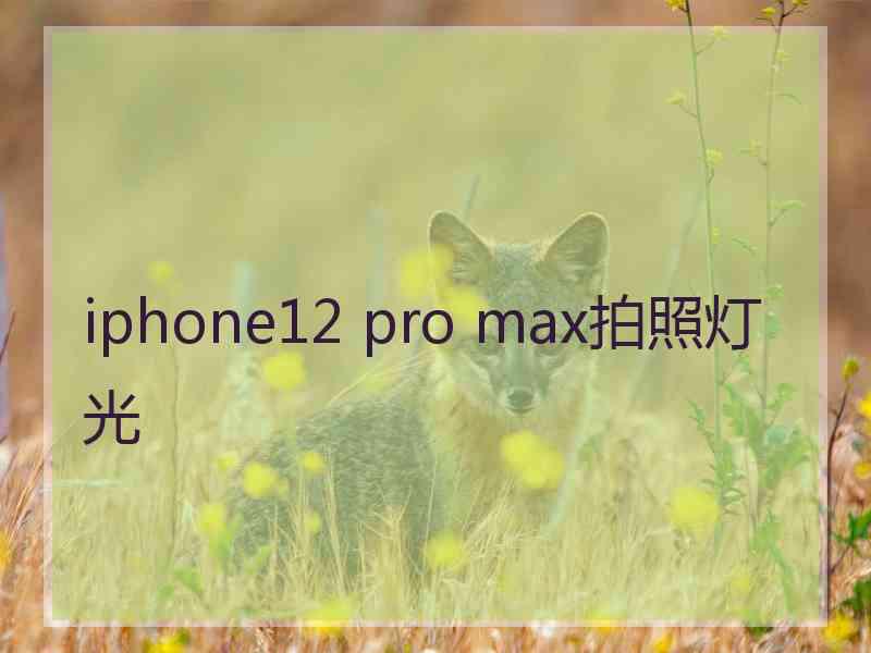 iphone12 pro max拍照灯光