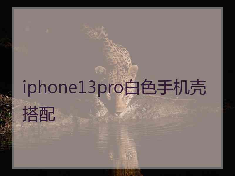 iphone13pro白色手机壳搭配