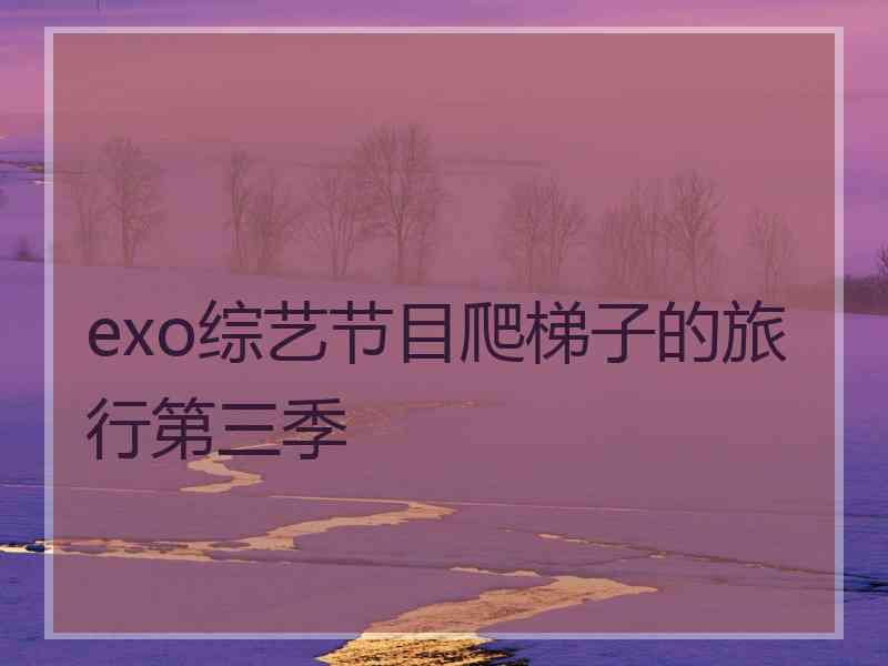 exo综艺节目爬梯子的旅行第三季